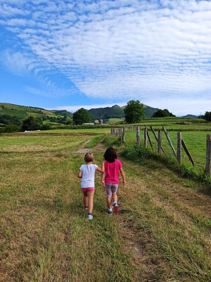 Casa Rural Aldekoa Ziga Exteriér fotografie