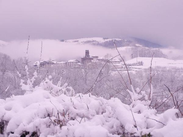 Casa Rural Aldekoa Ziga Exteriér fotografie